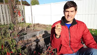 Planting Potatoes The Irish Way Is AMAZING