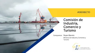 Comisión de Industria, Comercio y Turismo (19/05/2022)