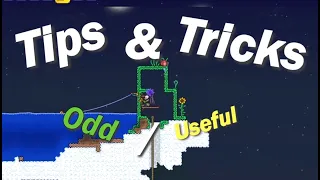 5 Odd/Useful TIPS and TRICKS in Terraria