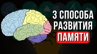 Как улучшить память. Способы для прокачки памяти