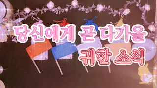 [타로카드/운세] 당신에게 곧 다가올 귀한소식을 알려드릴게요.