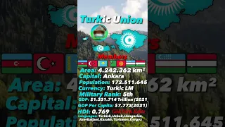 What if Turkic Union United Today?...