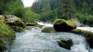 Handpan meditation music (especially for Joyce)