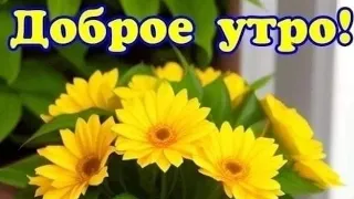 Доброе утро...Пятница...Впереди долгожданные выходные💖😊