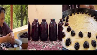 Harvesting Fresh Blackberries and Making Jam, Drink and Cake in the Village - YNG Video -2023