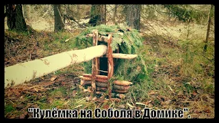 "Кулёмка на Соболя на Земле".