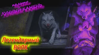 RDO Легендарный ВОЛК | пальто Лунный камень