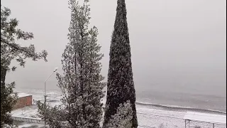 Первый снег за год на побережье Абхазии. Январь 2021-го