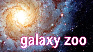 A Zoo of Galaxies