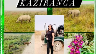 KAZIRANGA NATIONAL PARK- Elephant Safari, Jeep Safari, Orchid park | Assam Travel Vlog