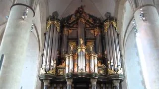 Sietze de Vries improvises on the tune, 'The Old Hundredth' at the Martinikerk, Groningen.