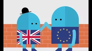 The Customs Union: The Fiction of ‘Frictionless’ Trade