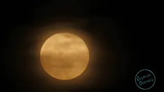 Full Moon October 20, 2021 - Live Meditation Full Harvest Moon In Aries