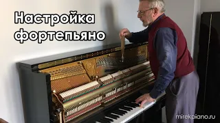 Мой любимый настройщик пианино - My favorite piano tuner