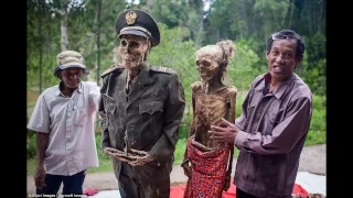 Индонезия — каждые 3 года выкапывает трупы родственников!