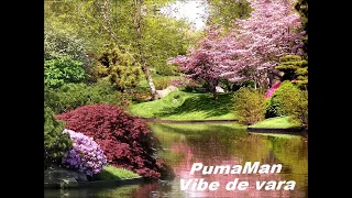 PumaMan - Vibe de vara (Audio)