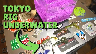 Tokyo Rig Underwater Action - How to Fish a Tokyo Rig