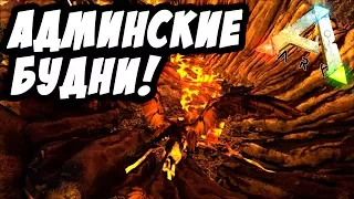 ARK: Survival Evolved - АДМИН РЕЙДИТ БАЗУ В АРК! (НЕТ) АДМИНСКИЕ БУДНИ! #3