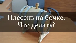 Плесень на бочке. Что делать? | Бондарная Лавка