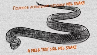 Полевое испытание катушки Nel Snake - A field test coil Nel Snake