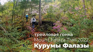 Трейловая гонка Mount Falaza Trail 2022. Гора Фалаза, Смольные водопады и окрестности. 14.05.2022