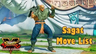 Street Fighter V Arcade Edition - Sagat Move List