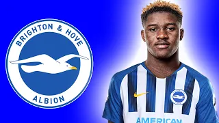 IBRAHIM OSMAN | Welcome To Brighton 2024 ⚪🔵 Crazy Speed, Skills & Assists (HD)