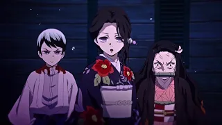 nezuko + tamayo + yushiro edit - trap requiem