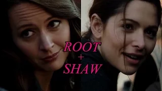 Root + Shaw (POI) - Angel with a shotgun