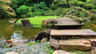 Shofuso Japanese House & Garden - A Philadelphia Gem