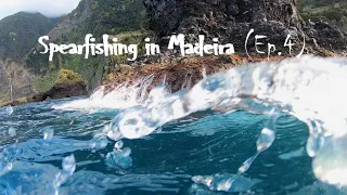 Spearfishing in Madeira | Ep.4 #SelectAndSpear