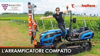 Cingoli tra i filari con Giulia e il Landini Trekker 3-085 Compact | Enovitis 2023