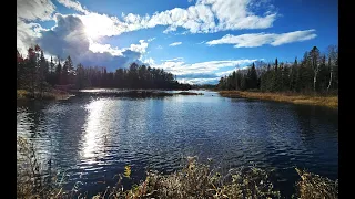 Beavers Clogged All 4 Culverts!!