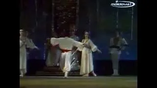 Ukrainian dance - ballet "LUCEAFARUL" (LUCEAFARUL)