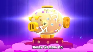 Mega Pig = Mega Scam😐