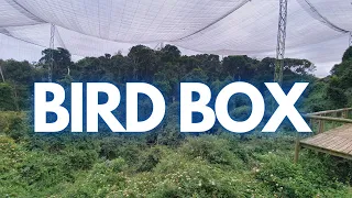 The largest aviary in the world: Birds of Eden on the Garden Route in South Africa (IT'S AWESOME!)