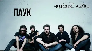Animal ДжаZ - Паук (караоке от Ильи)