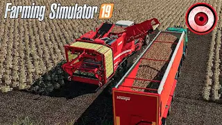 Farming Simulator 2019 — Timelapse | Собираем Урожай Картофель