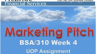 BSA310 Week 4 McBride Marketing Pitch 2015 UOP Tutorial