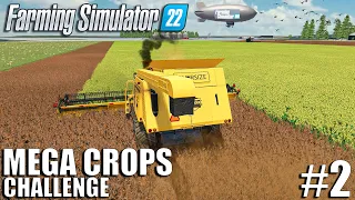 MUSTARD Harvest and LOAD with MEGA COMBINE | MEGA CROPS Challenge | Farming Simulator 22 - Episode 2