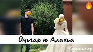 Очень Красивая Песня Йуьгар ю Алахьа😍👰