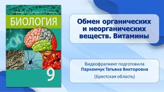 Пищеварительная система. Тема 34. Обмен органических и неорганических веществ. Витамины