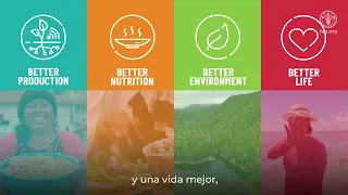 Conoce las 4 mejoras de la FAO en América Latina y el Caribe