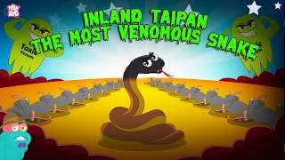 Inland Taipan - The Most Venomous Snake in the World | Most Deadliest Snake | The Dr. Binocs Show