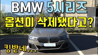 bmw 5시리즈, 마이너스 옵션과 줄어든 할인, 520i, 530i