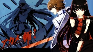[GC][Vietsub+Kara+Kanji] Akame ga Kill! Ending {Konna Sekai, Shiritakunakatta - Miku Sawai}