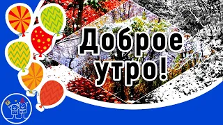 Доброе утро! Музыкальное пожелание с Добрым утром ноября! Красивая видео открытка для друзей.