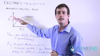Enzyme Kinetics with Michaelis-Menten Curve | V, [s],  Vmax, and Km Relationships