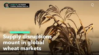 Supply Disruptions Mount in Global Wheat Markets