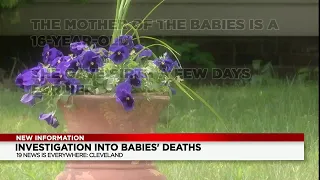 Police: Grandmother found Cleveland infants dead in trash; arrest made